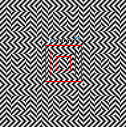 برگرفته از کژانگاشت هیرینگ