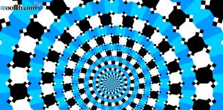 مارپیچ فریزر کژانگاشت مارپیچ فریزر