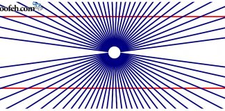 کژانگاشت هرینگ کژانگاشت هیرینگ