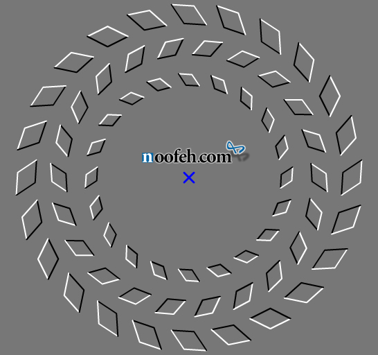 کژانگاشت پینا-برل استف