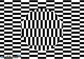 کژانگاشت اوچی