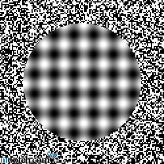 کژانگاشن خارج از فکوس