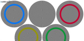 کژانگاشت (خطای دید) معما خطای دید معما