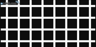 کژانگاشت توری هرمان کژانگاشت توری هرمان