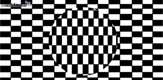 درک ممان های چشمی کژانگاشت اوچی