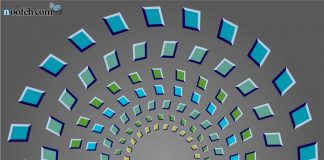 کژانگاشت پینا–برل استف کژانگاشت پینا-برل استف