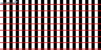 کژانگاشت توری اغواگر توری اغواگر