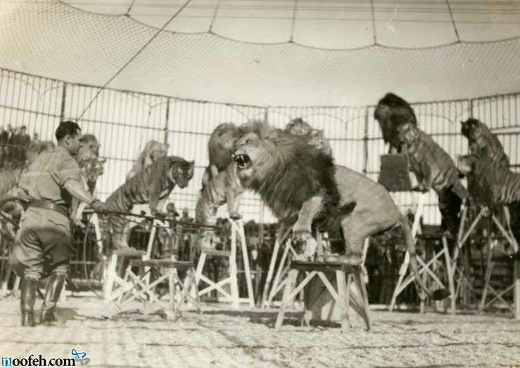 کلاید بی تی