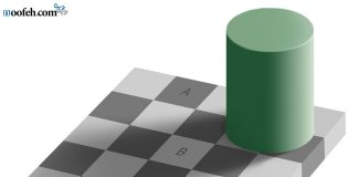 کژانگاشت سایه ی شطرنجی ادلسون سایه ی شطرنجی ادلسون