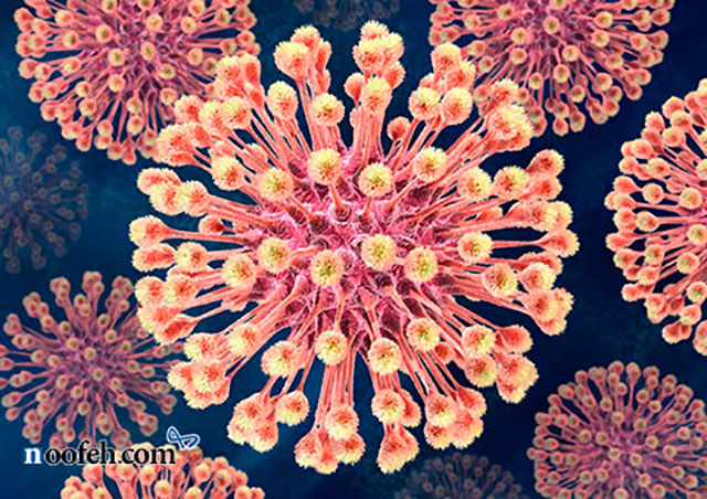 تصویر ویروس هرپس زیر میکروسکوپ