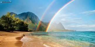 بشر شیفته ی رنگین کمان رنگین کمان