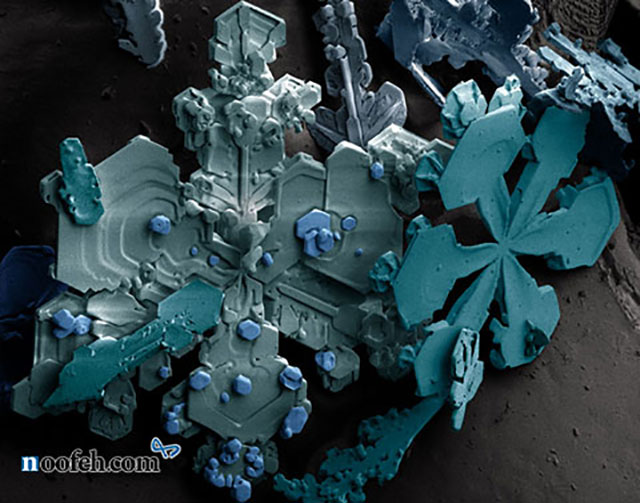 تصویر کریستال های برف زیر میکروسکوپ