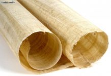 اختراع کاغذ و تاریخچه ی آن کاغذ پاپیروس
