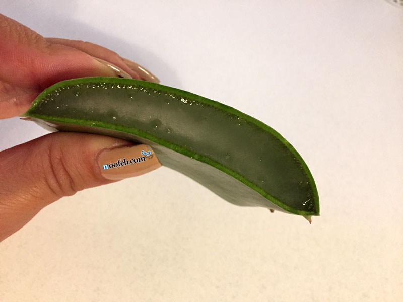 نمایش مقطع عرضی آلوئهورا